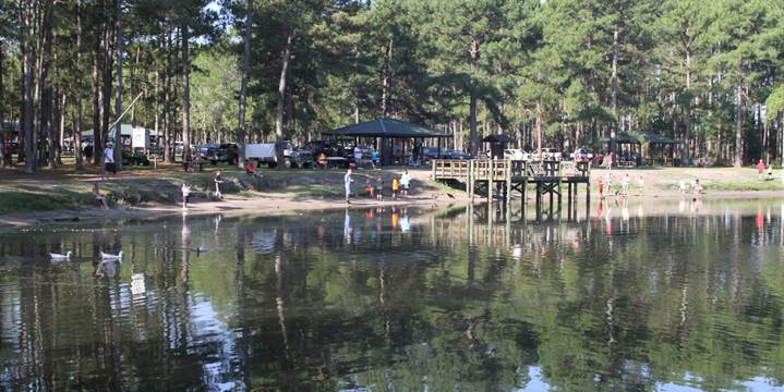 The Pond at Ronnie Van Zant Park