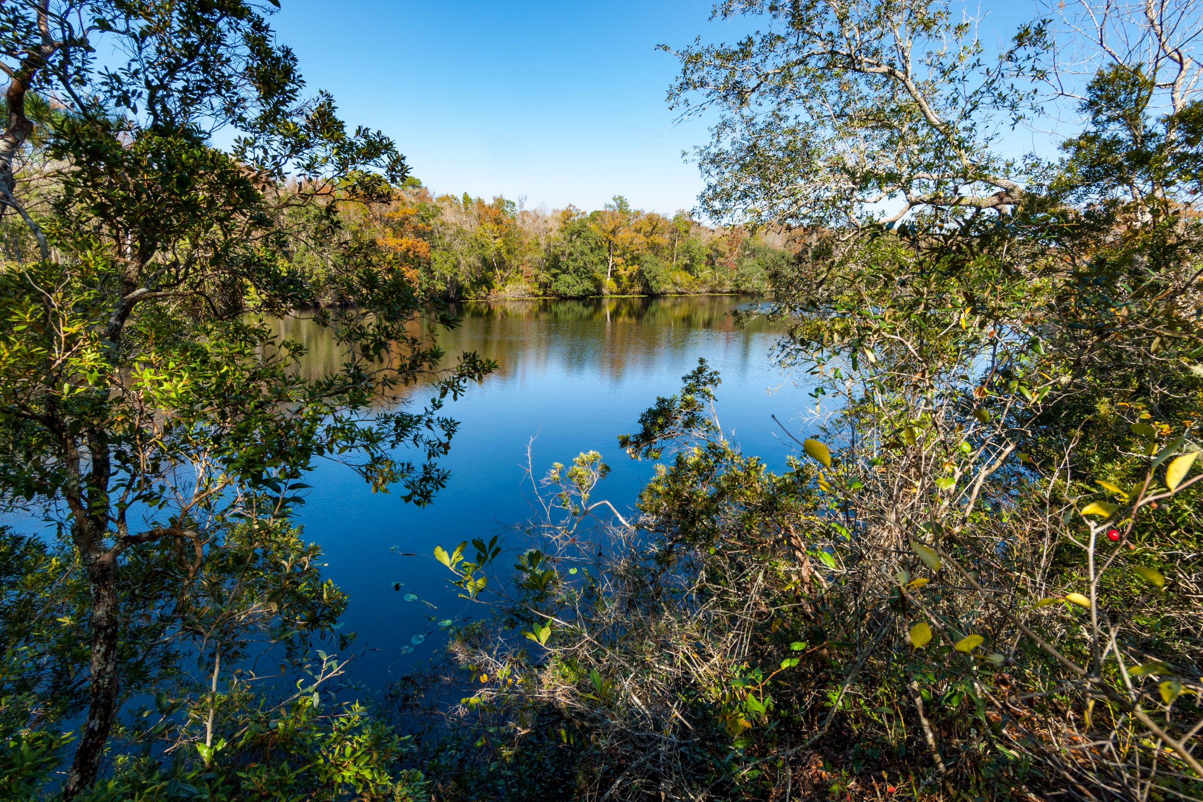 Black Creek Ravines Water View