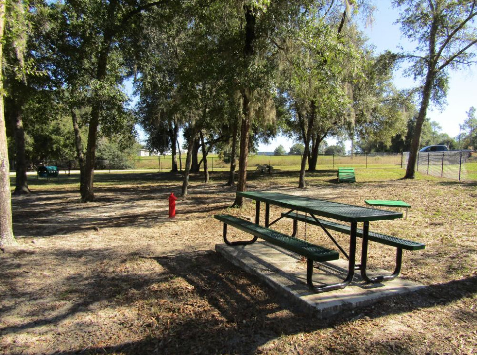 Seating at Paradise Bar in Sunrise Park - Keystone Heights FL