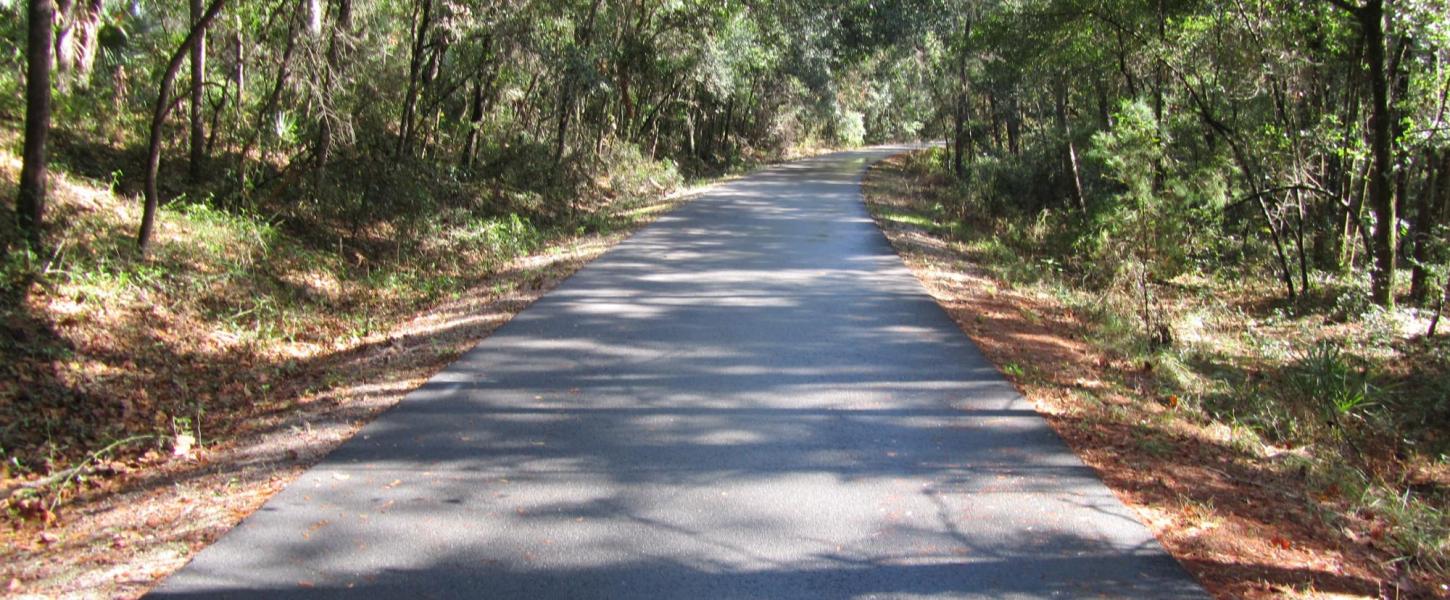 Clay County side of the Palatka to Lake Butler Trail