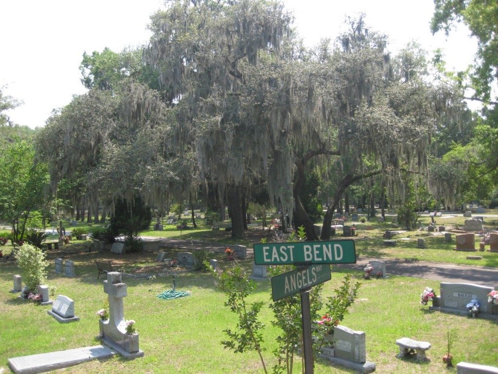 Magnolia-Cemetery