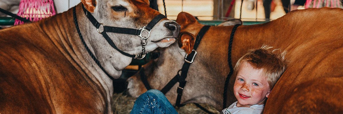 Clay County Agricultural Fair 2022