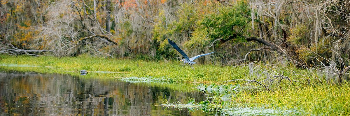 Coastal Angler Partnership Clay County