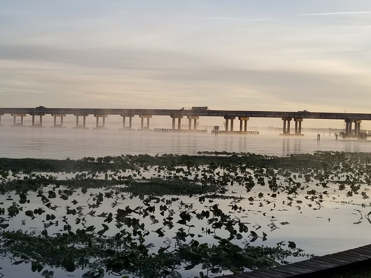CAM Fishing Updates July 2022