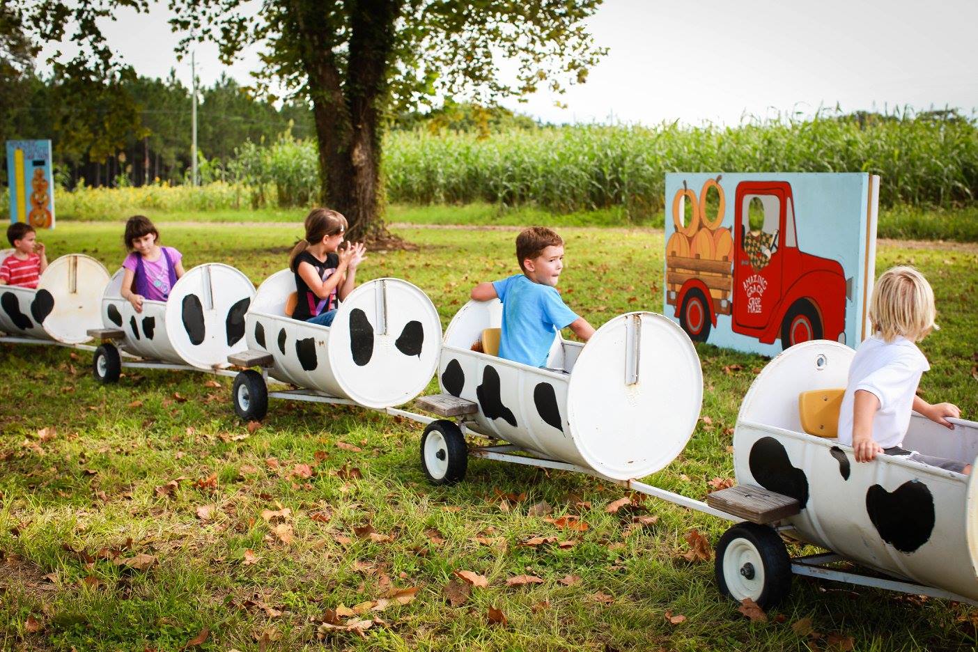 Amazing Grace Family Farms