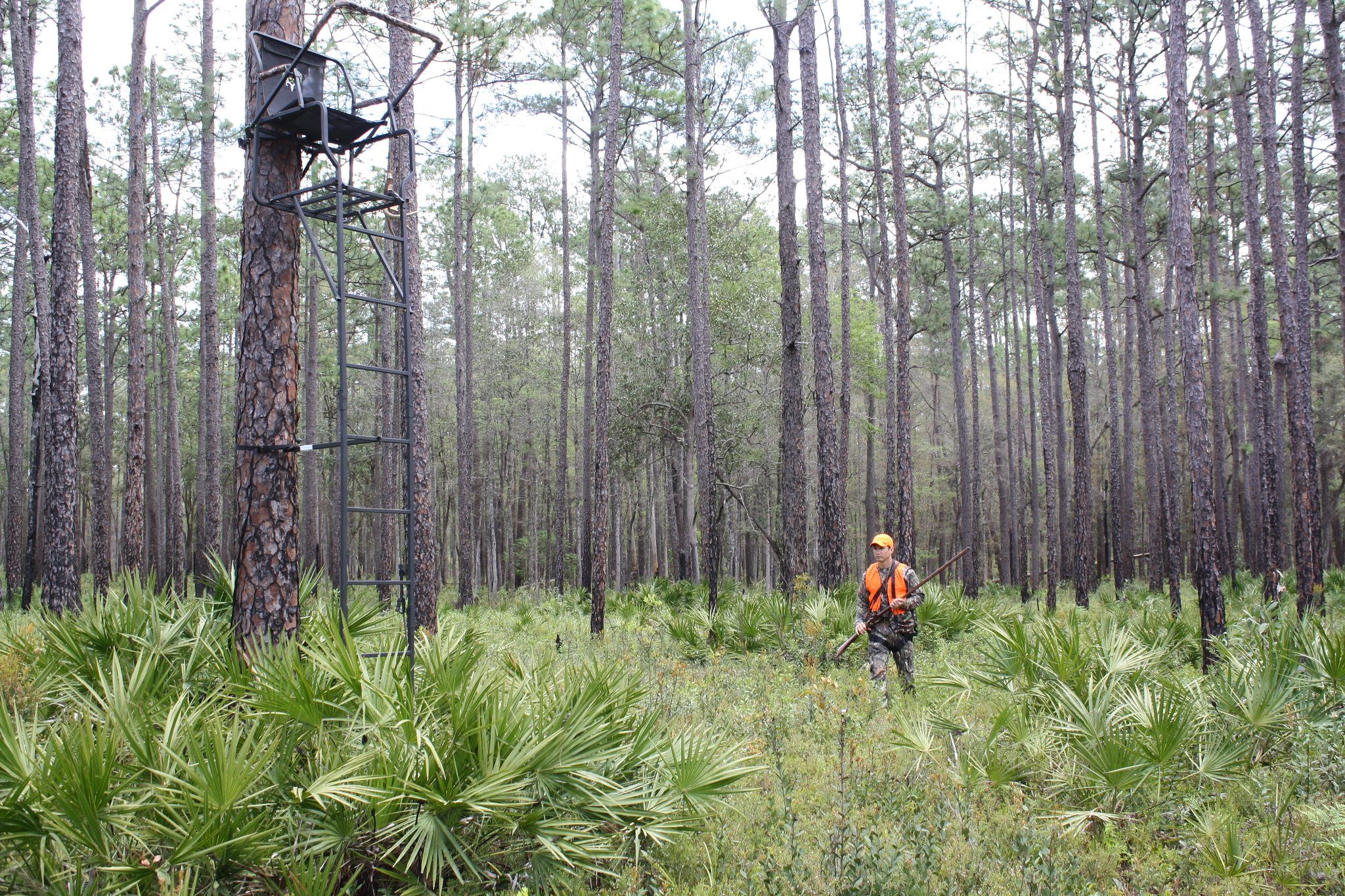 Clay County Hunting Guide