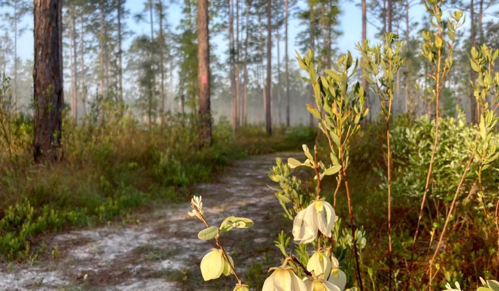 Biking & Hiking Clay County 2023