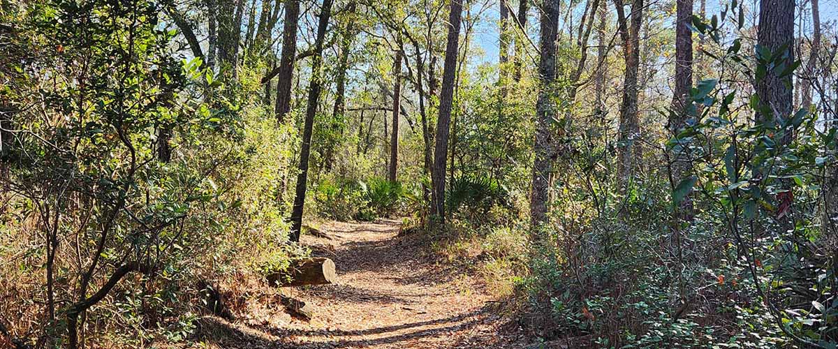 Biking & Hiking Clay County 2023
