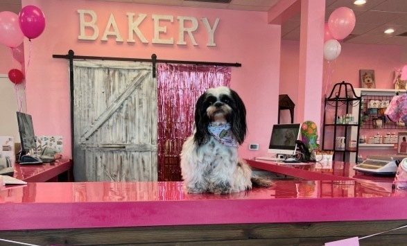 Woof Gang Bakery
