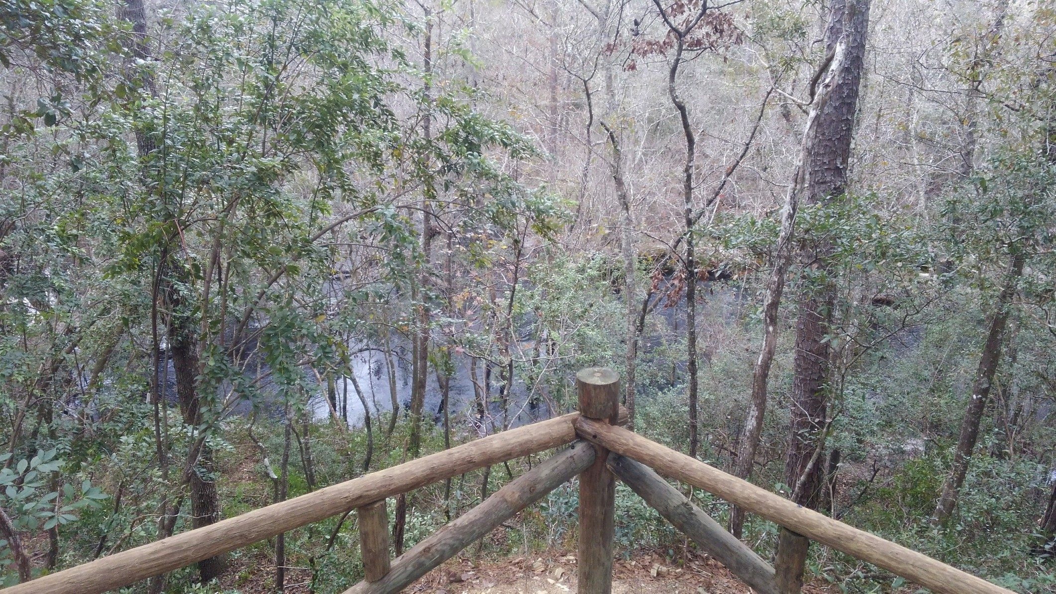 Wooded area with a creek in the background, hand rails in the center