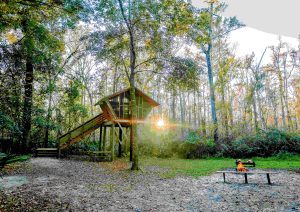camp chow treehouse