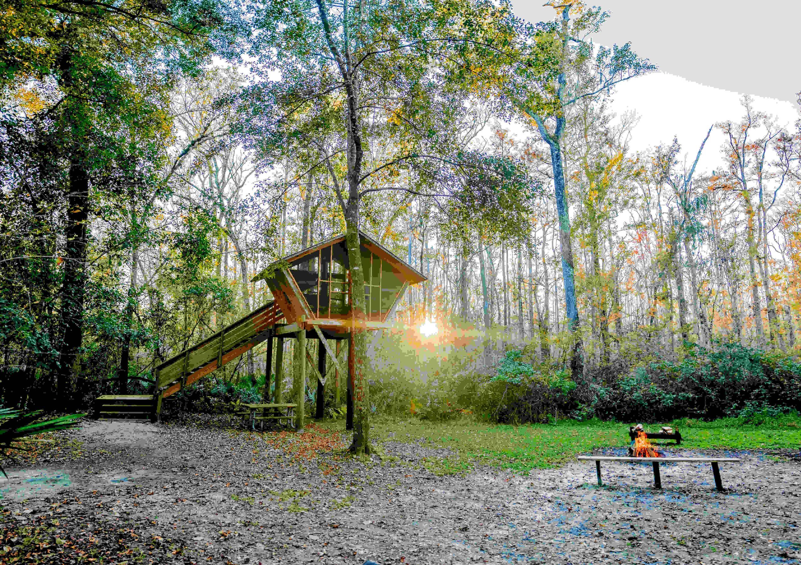 camp chow treehouse