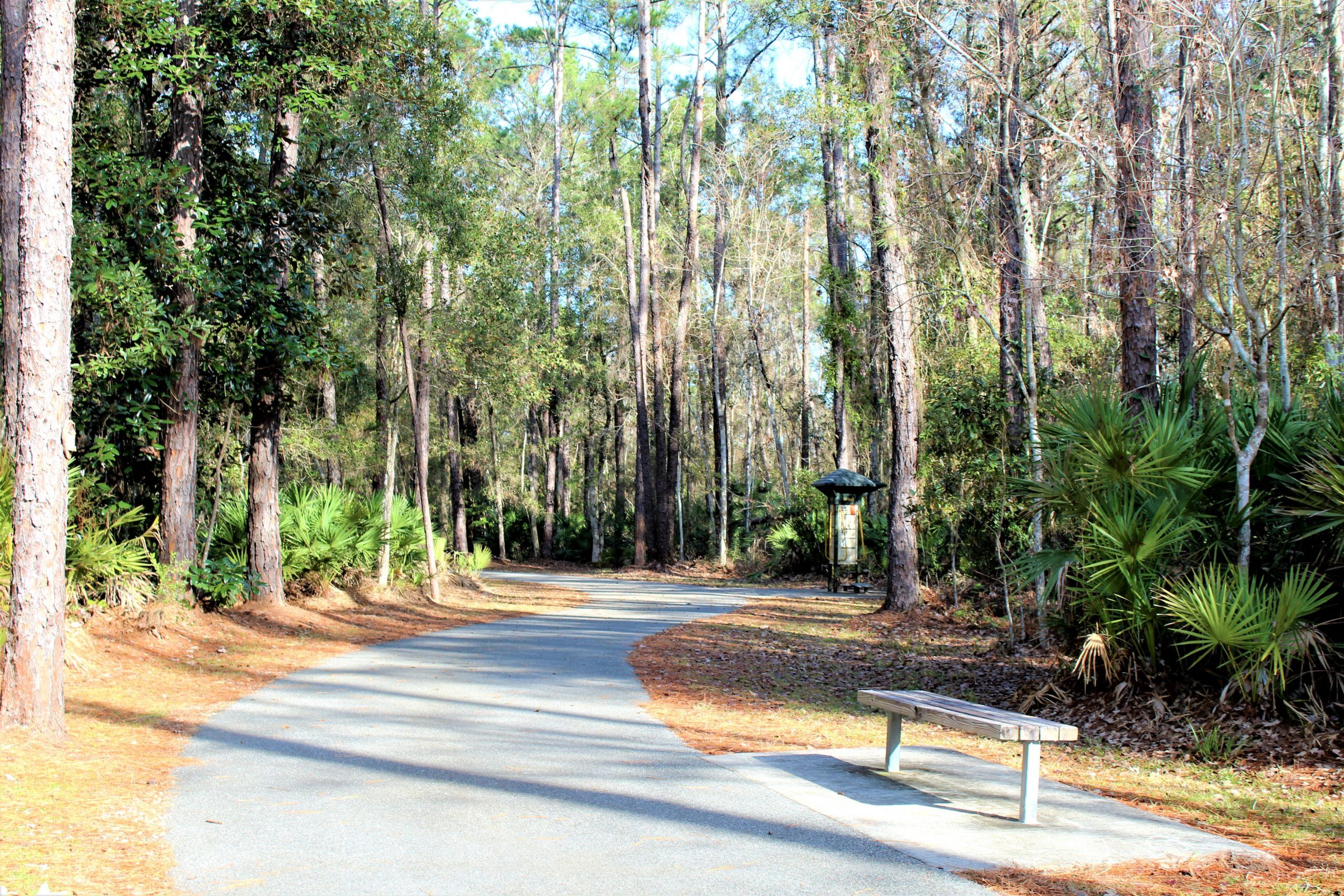 Photo of a wooded walking trail.