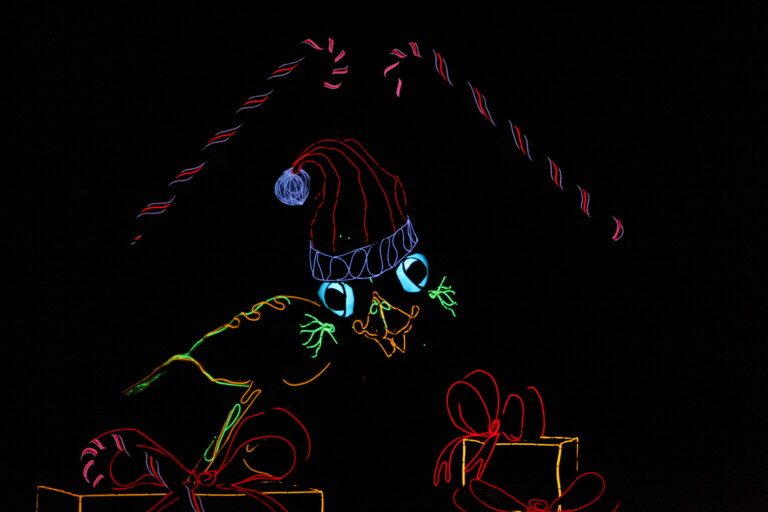 Neon light outline a christmas bird and presents on stage