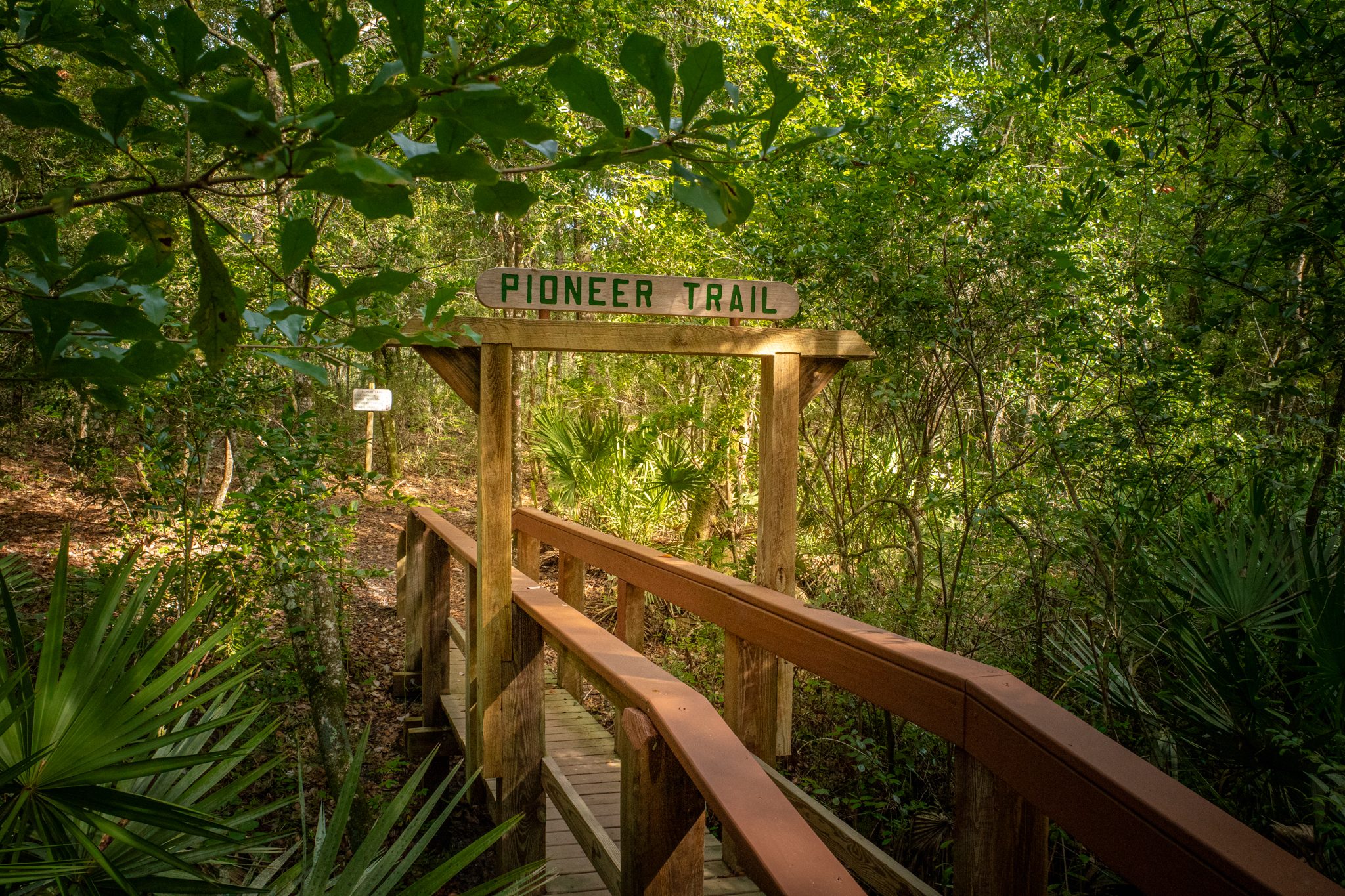 Pioneer Trail Access Point
