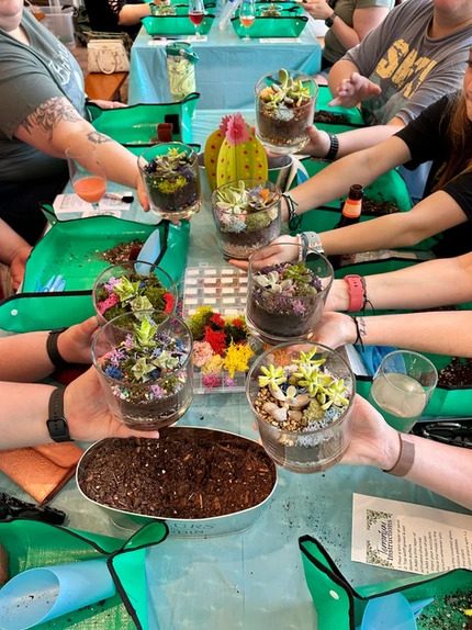 hands holding potted plant craft