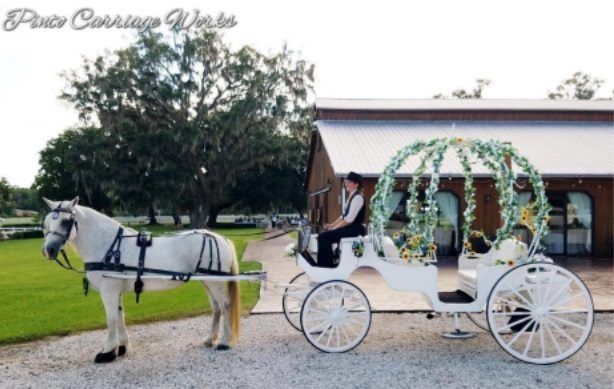 Horse Drawn Carriage in front of an outdoor venue