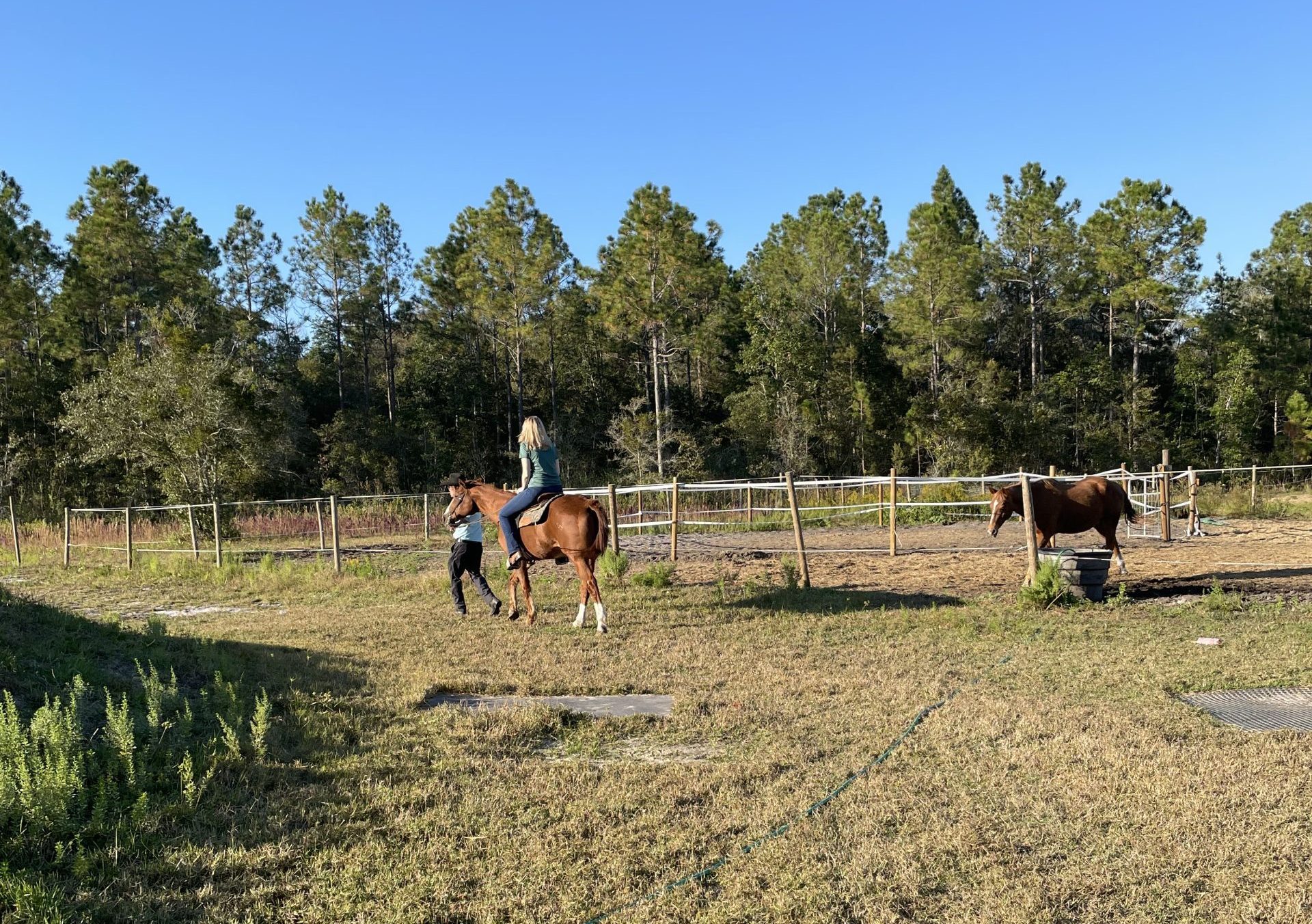 Horse back riding in Keystone Heights guiding a horse and rider around the farm