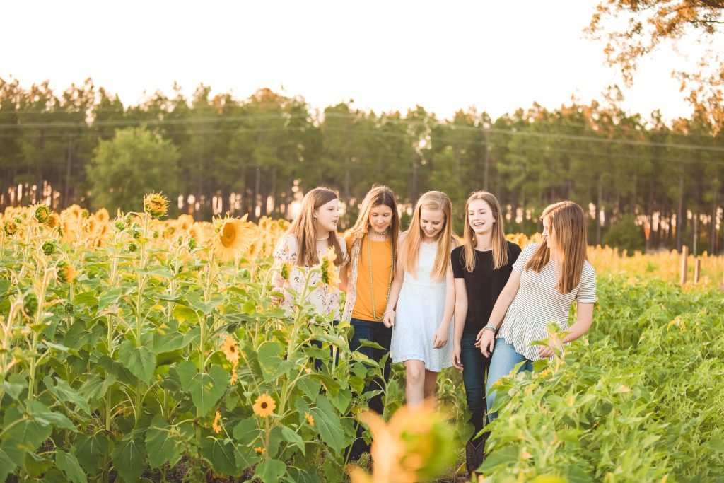 Amazing Grace Crop Maze