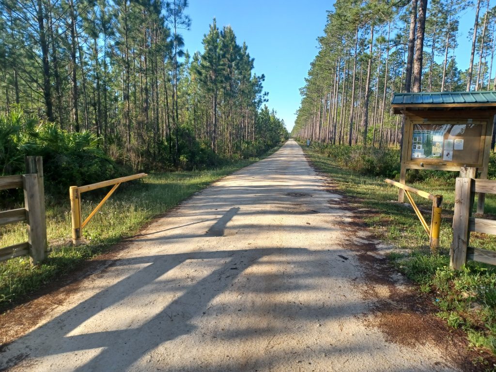 Trail at Belmore State Forest
